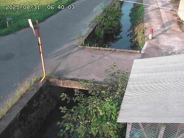 亀谷川２2025/08/31 9:20:00