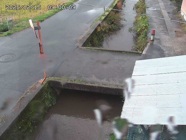 亀谷川２2025/12/16 8:50:00