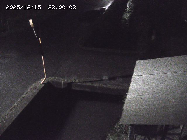 亀谷川２2025/12/16 8:50:00