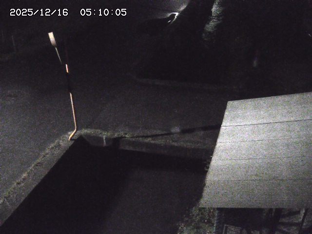 亀谷川２2025/12/16 8:50:00