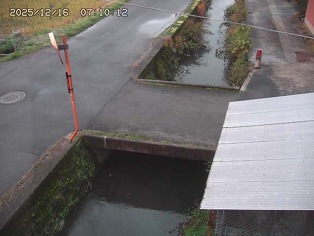 亀谷川２2025/12/16 8:50:00