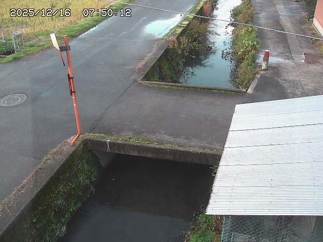 亀谷川２2025/12/16 8:50:00