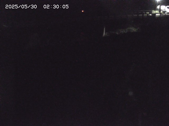 私都川８2026/05/30 3:30:00