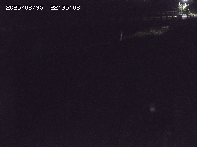 私都川８2025/08/31 1:00:00
