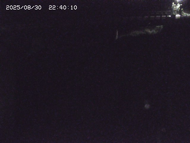 私都川８2025/08/31 1:00:00