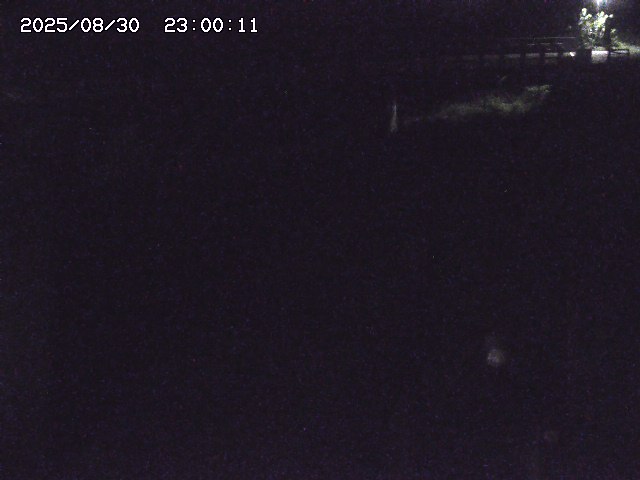 私都川８2025/08/31 1:00:00