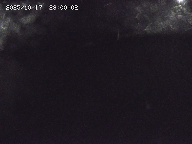 私都川８2025/10/18 20:30:00