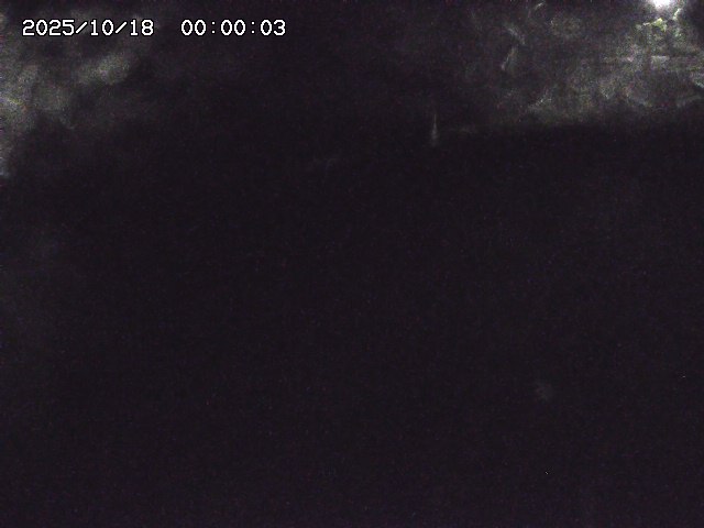 私都川８2025/10/18 20:30:00