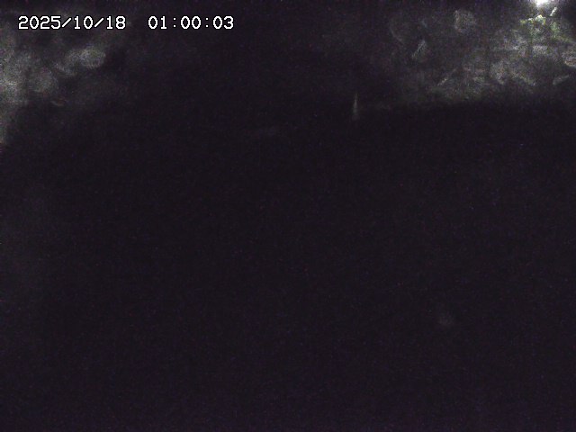 私都川８2025/10/18 20:30:00