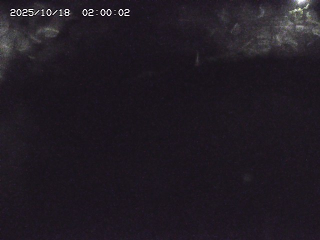 私都川８2025/10/18 20:30:00