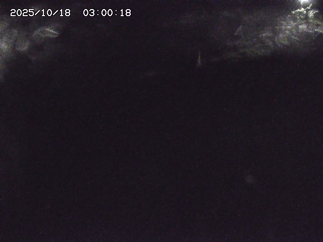 私都川８2025/10/18 20:30:00