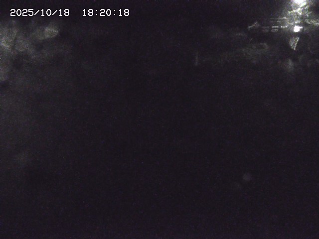 私都川８2025/10/18 20:30:00