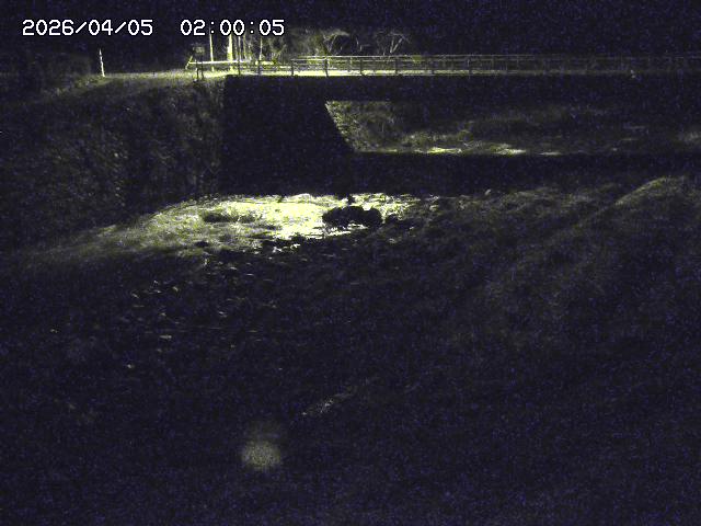 北股川１2026/04/05 3:30:00