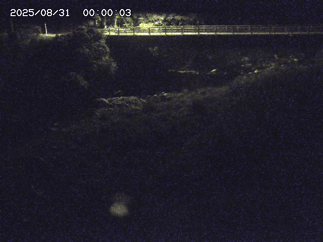 北股川１2025/08/31 1:00:00