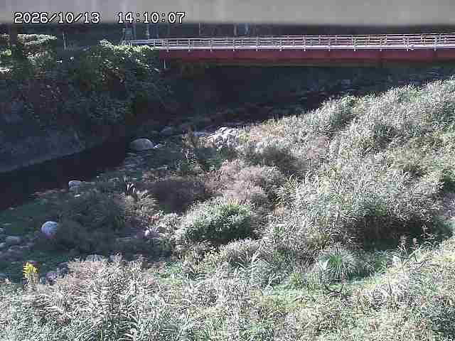 北股川１2026/10/13 14:30:00