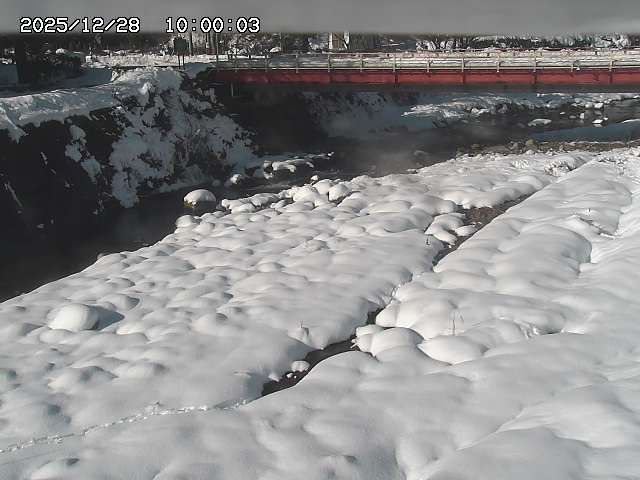 北股川１2025/12/29 10:00:00