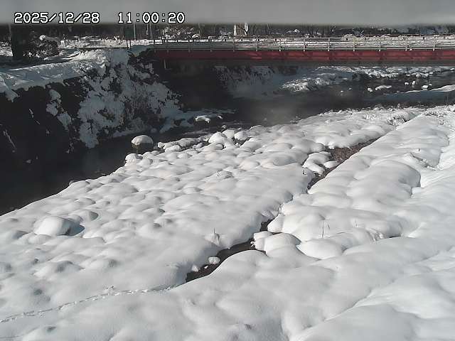 北股川１2025/12/29 10:00:00