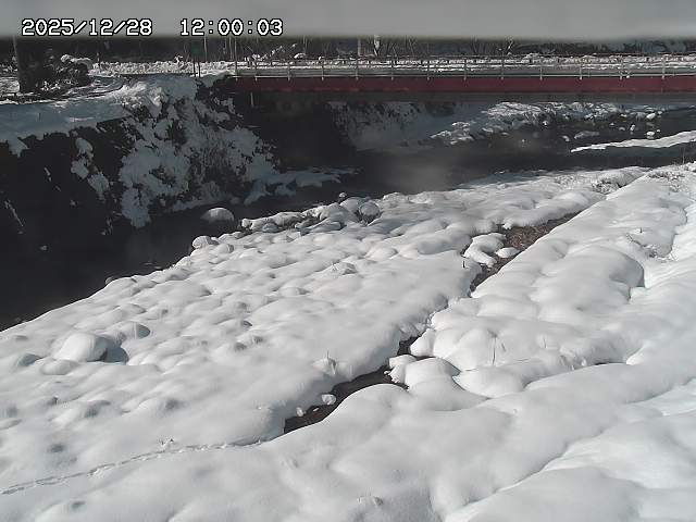 北股川１2025/12/29 10:00:00