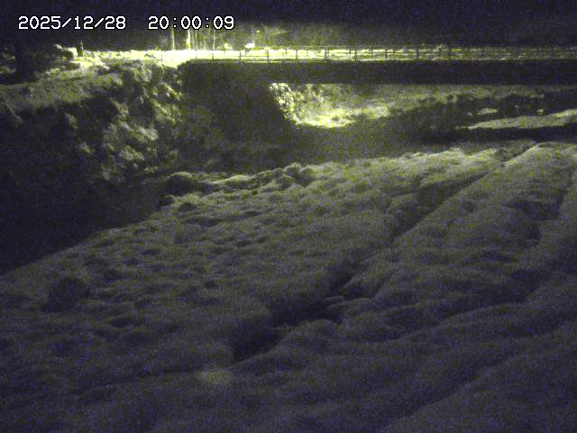 北股川１2025/12/29 10:00:00