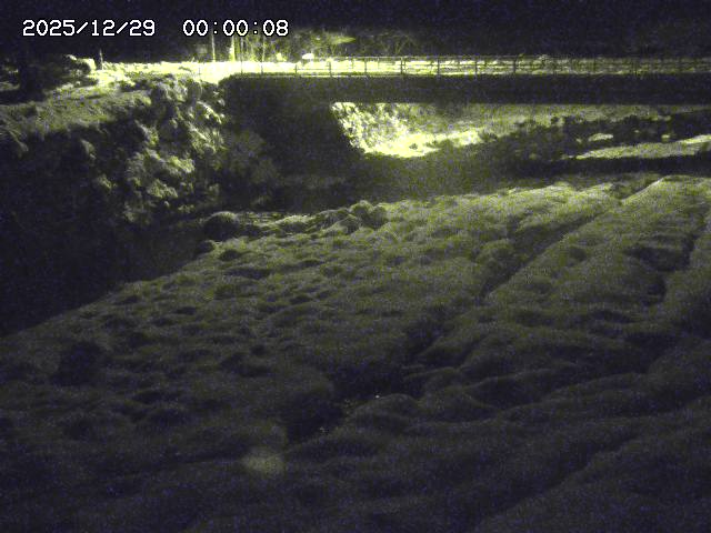 北股川１2025/12/29 10:00:00