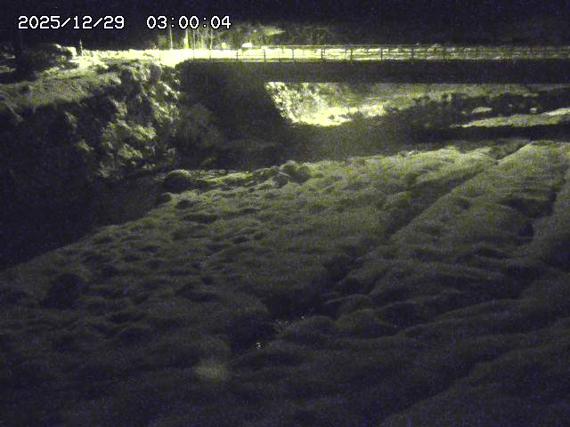 北股川１2025/12/29 10:00:00