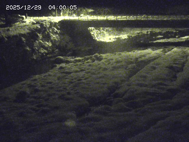 北股川１2025/12/29 10:00:00