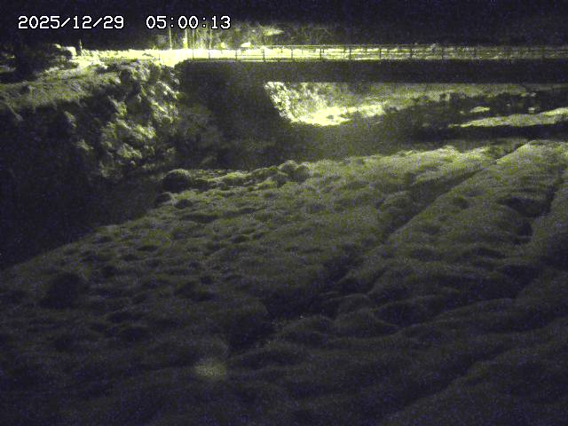 北股川１2025/12/29 10:00:00