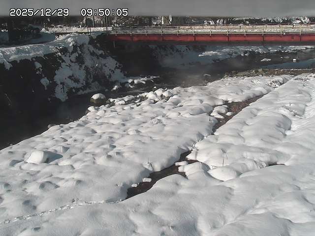 北股川１2025/12/29 10:00:00