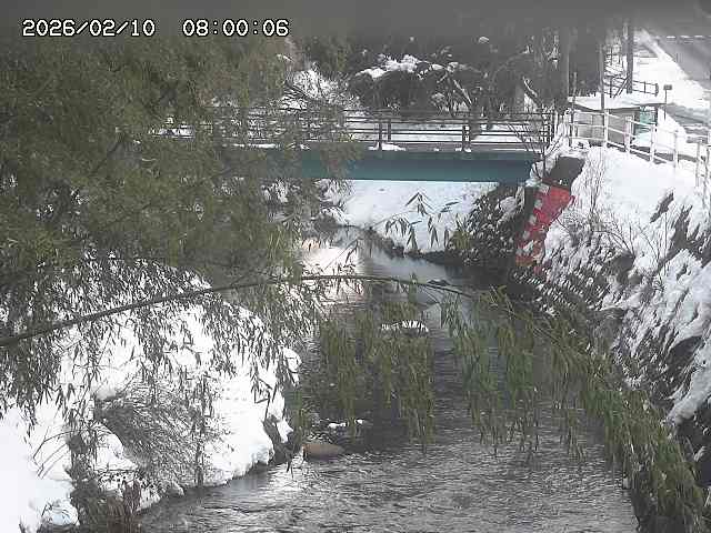 土師川３2026/02/11 3:00:00