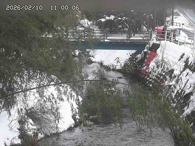 土師川３2026/02/11 3:00:00