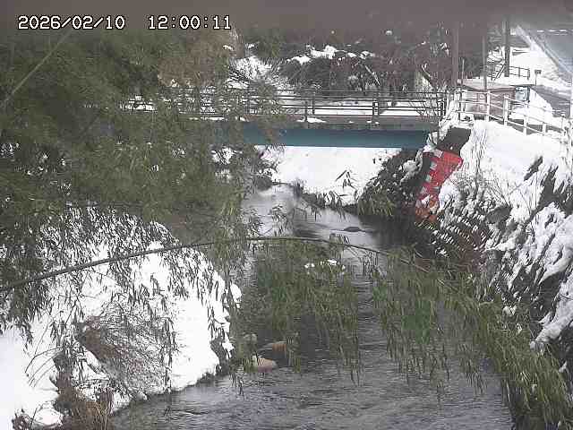 土師川３2026/02/11 3:00:00