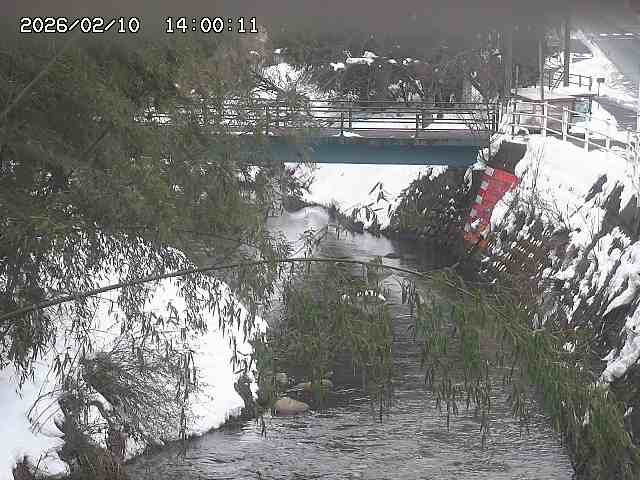 土師川３2026/02/11 3:00:00