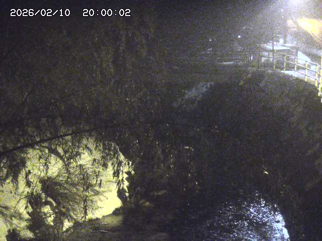 土師川３2026/02/11 3:00:00