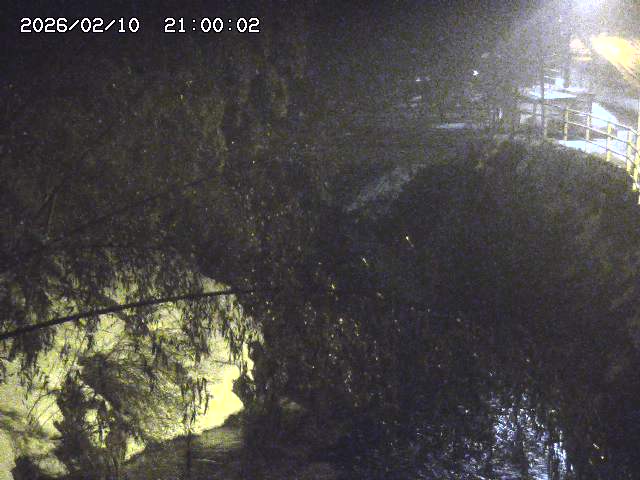 土師川３2026/02/11 3:00:00