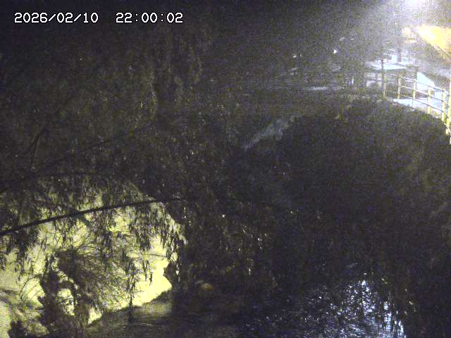 土師川３2026/02/11 3:00:00