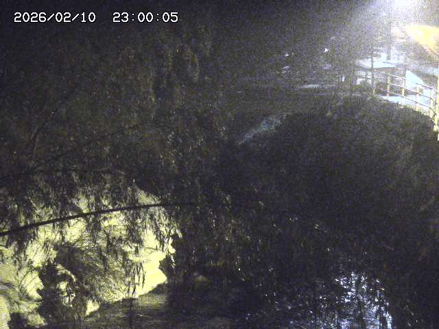 土師川３2026/02/11 3:00:00