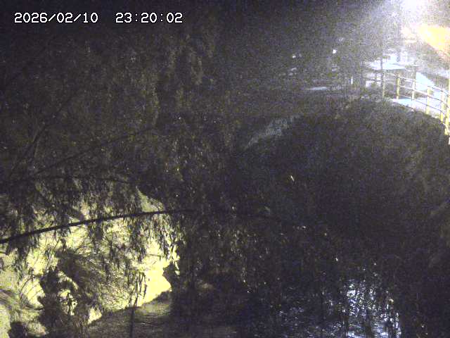 土師川３2026/02/11 3:00:00