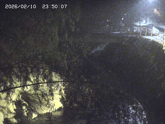 土師川３2026/02/11 3:00:00