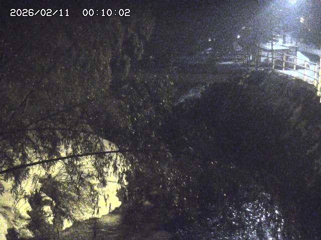 土師川３2026/02/11 3:00:00