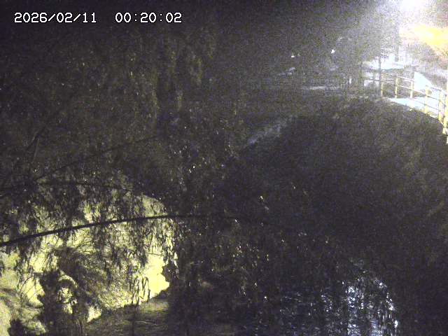 土師川３2026/02/11 3:00:00