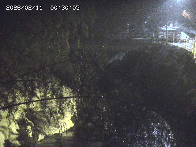 土師川３2026/02/11 3:00:00