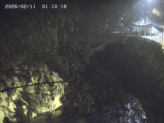 土師川３2026/02/11 3:00:00