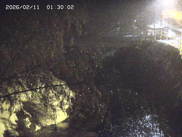 土師川３2026/02/11 3:00:00