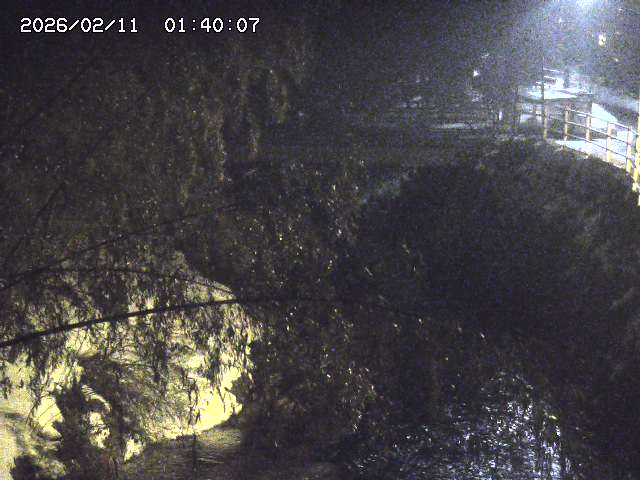 土師川３2026/02/11 3:00:00