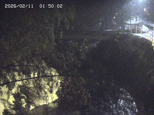 土師川３2026/02/11 3:00:00