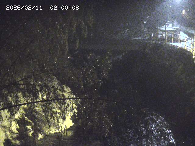 土師川３2026/02/11 3:00:00