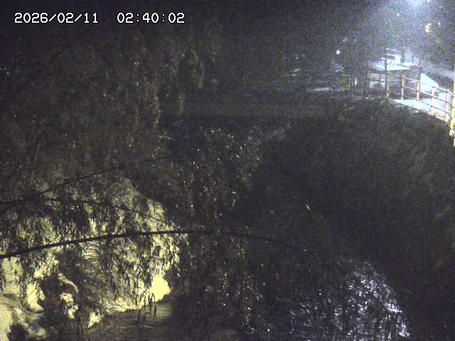 土師川３2026/02/11 3:00:00