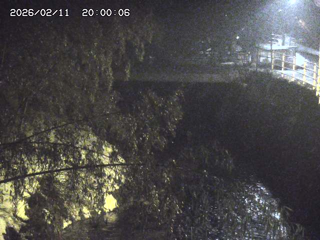 土師川３2026/02/12 18:50:00