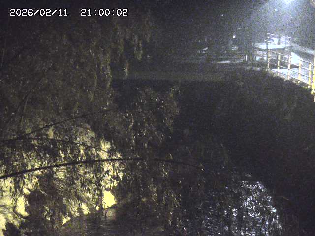 土師川３2026/02/12 18:50:00