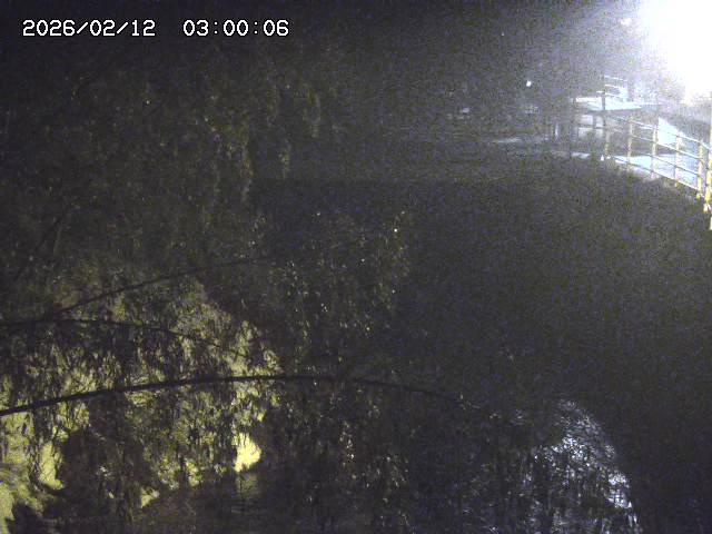 土師川３2026/02/12 18:50:00